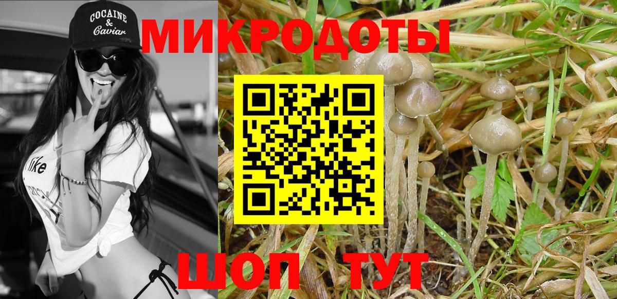 Реутов  Галлюциногенные грибы Psilocybe  Галлюциногенные грибы Cubensis  Вход с VPN 